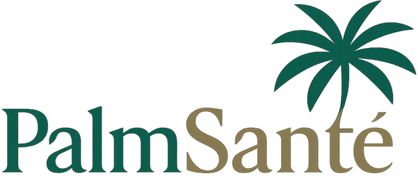 logo with the words PalmSanté close together and a palm tree next to it